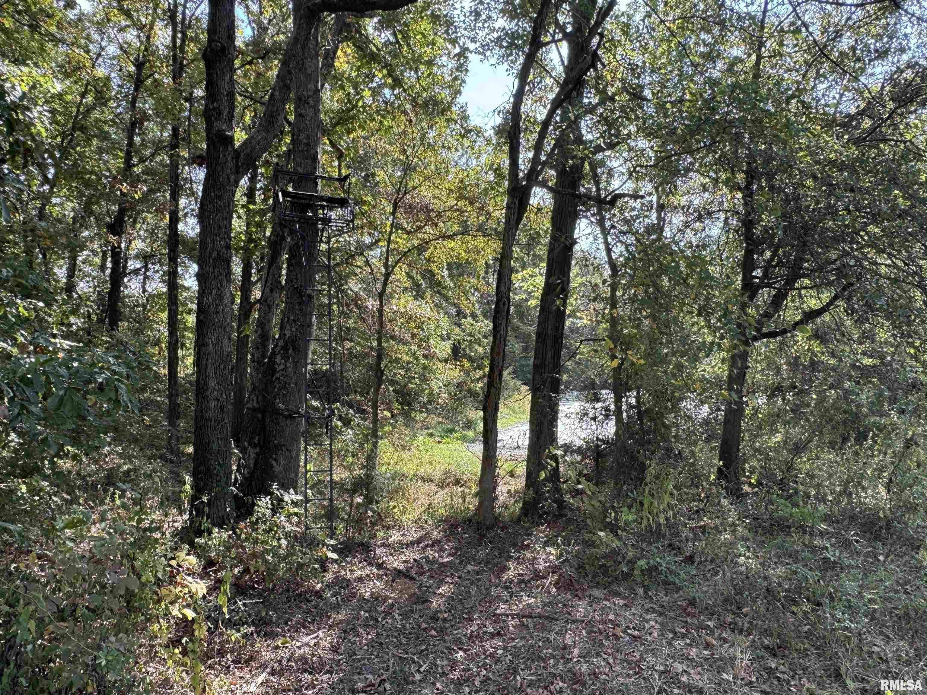 0 950 E Road, Unit COUNTY Cisne, IL 62823 - Photo 29 of 36 Gallery Image 29