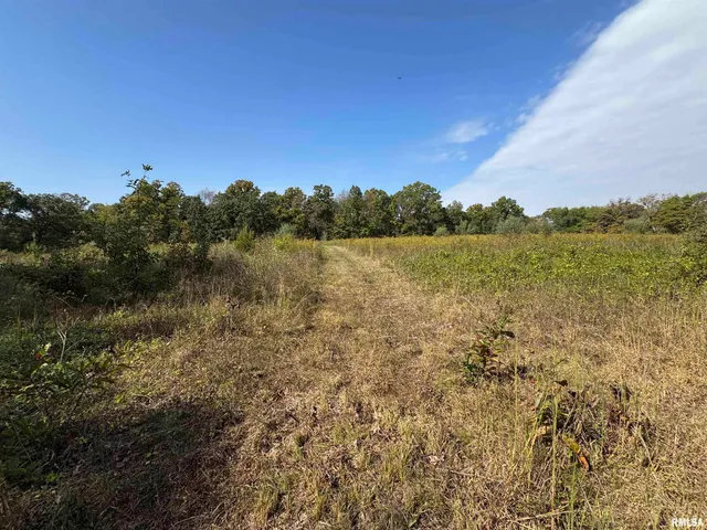 $113,000 | 0 950 E Road, Unit COUNTY, Cisne, IL 62823