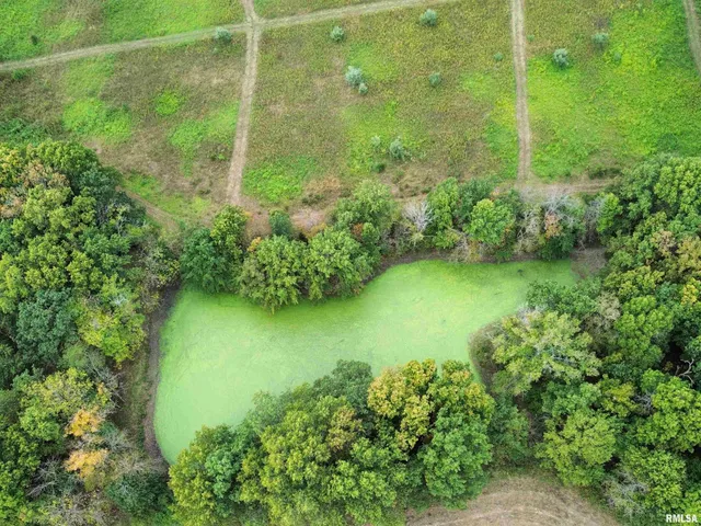 $113,000 | 0 950 E Road, Unit COUNTY, Cisne, IL 62823