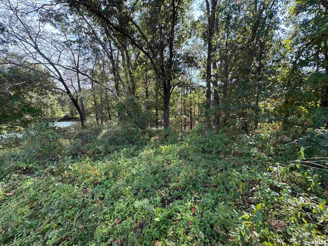 $113,000 | 0 950 E Road, Unit COUNTY, Cisne, IL 62823