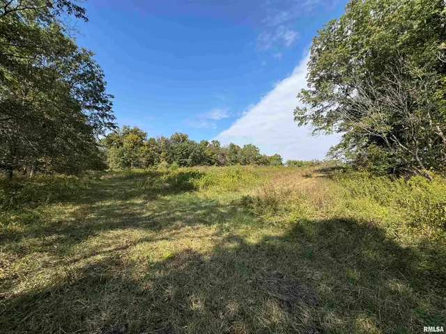 $113,000 | 0 950 E Road, Unit COUNTY, Cisne, IL 62823