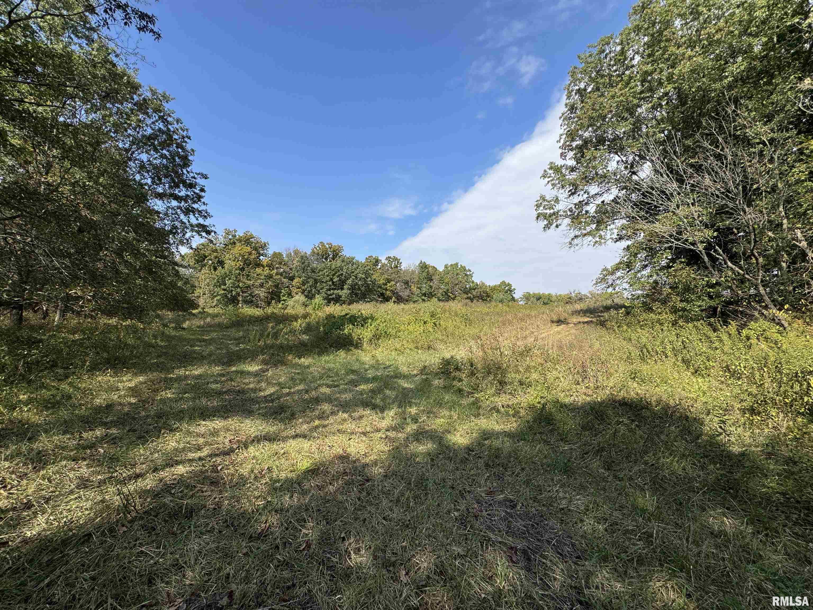 0 950 E Road, Unit COUNTY Cisne, IL 62823 - Photo 32 of 36 Gallery Image 32