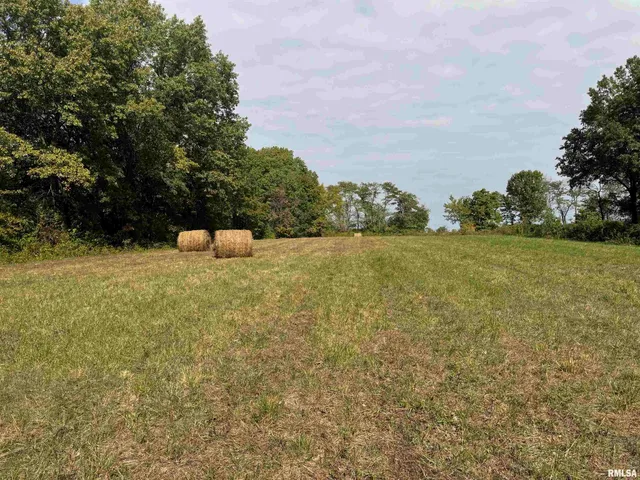 $113,000 | 0 950 E Road, Unit COUNTY, Cisne, IL 62823