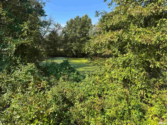 $113,000 | 0 950 E Road, Unit COUNTY, Cisne, IL 62823