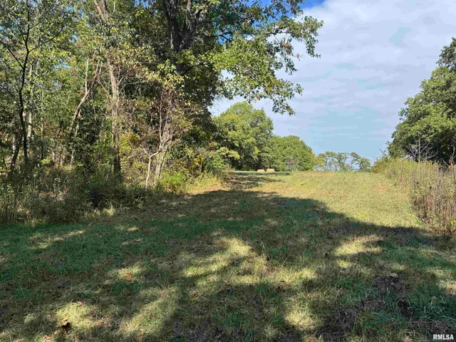 $113,000 | 0 950 E Road, Unit COUNTY, Cisne, IL 62823