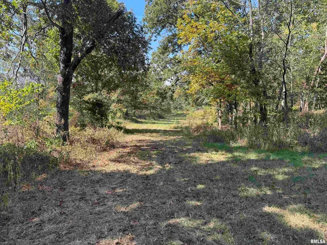 $113,000 | 0 950 E Road, Unit COUNTY, Cisne, IL 62823