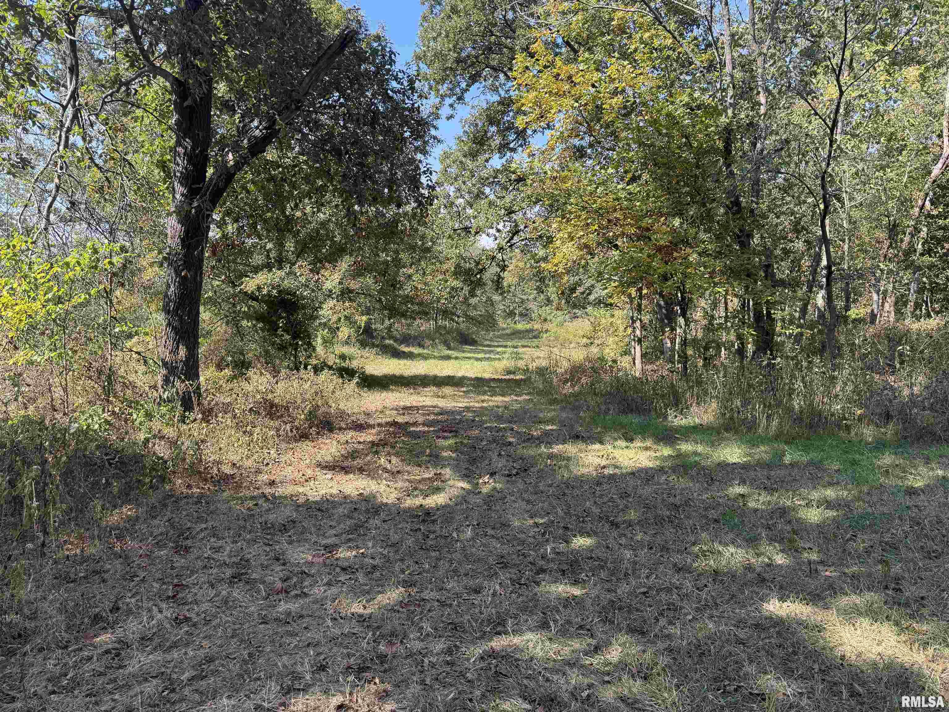 0 950 E Road, Unit COUNTY Cisne, IL 62823 - Photo 36 of 36 Gallery Image 36