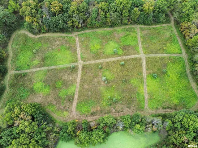 $113,000 | 0 950 E Road, Unit COUNTY, Cisne, IL 62823