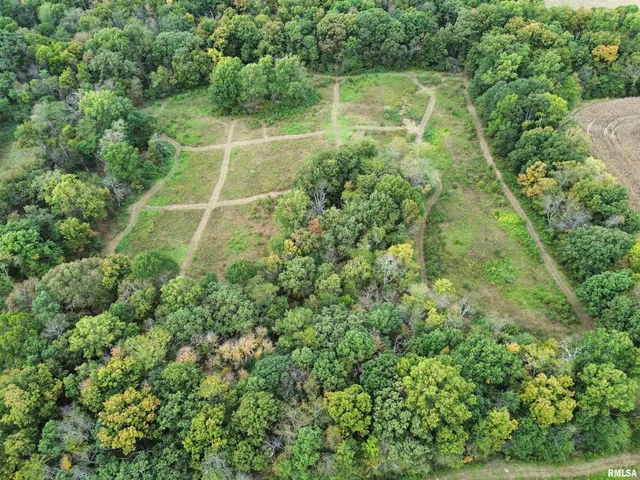 $113,000 | 0 950 E Road, Unit COUNTY, Cisne, IL 62823