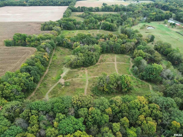 $113,000 | 0 950 E Road, Unit COUNTY, Cisne, IL 62823