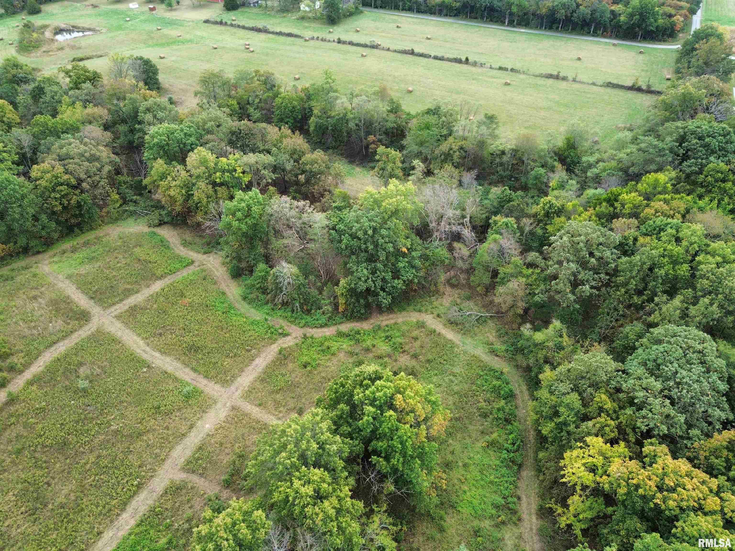 0 950 E Road, Unit COUNTY Cisne, IL 62823 - Photo 9 of 36 Gallery Image 9