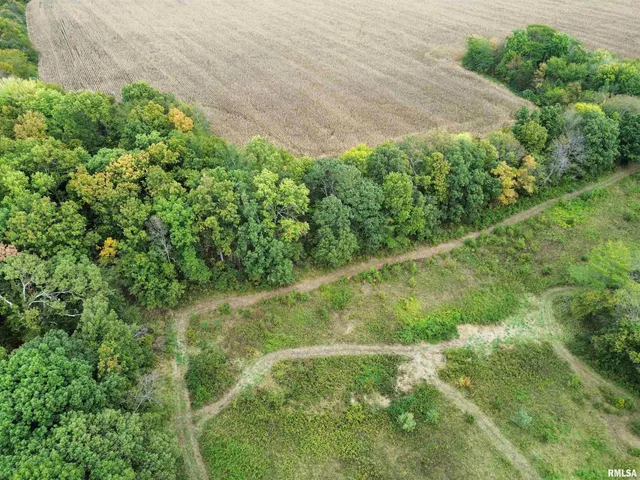 $113,000 | 0 950 E Road, Unit COUNTY, Cisne, IL 62823