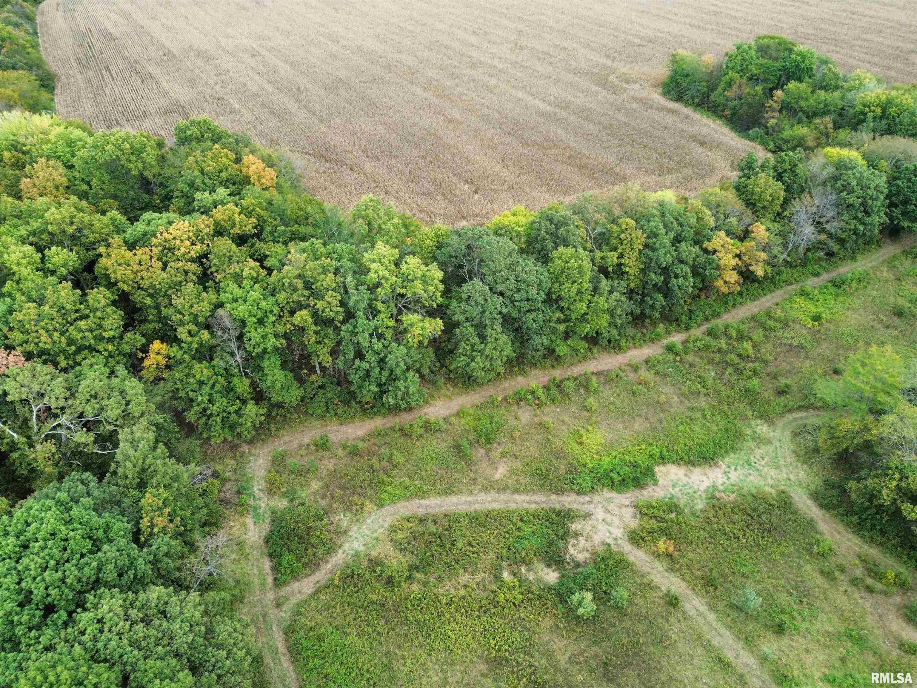 0 950 E Road, Unit COUNTY Cisne, IL 62823 - Photo 10 of 36 Gallery Image 10