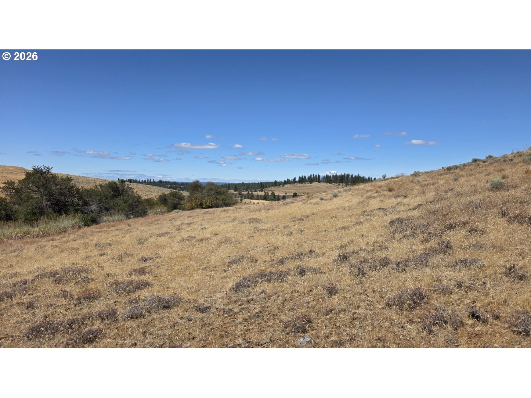 Olson Road, Unit 3 Centerville, WA 98613 - Photo 14 of 31 Gallery Image 14