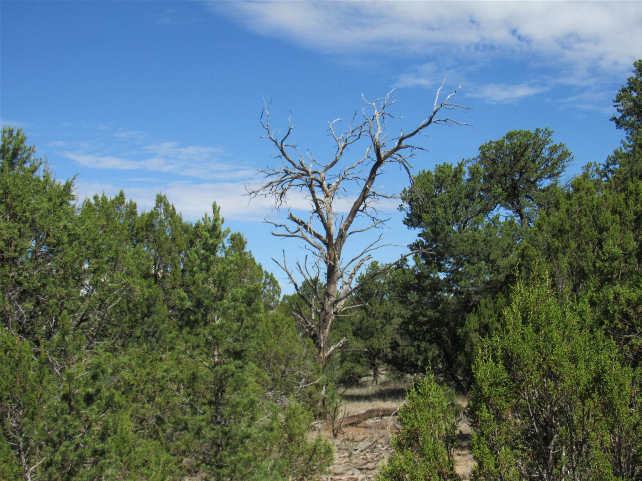 82 Rancho Mesita Santa Fe, NM 87508 - Photo 22 of 35 Gallery Image 22