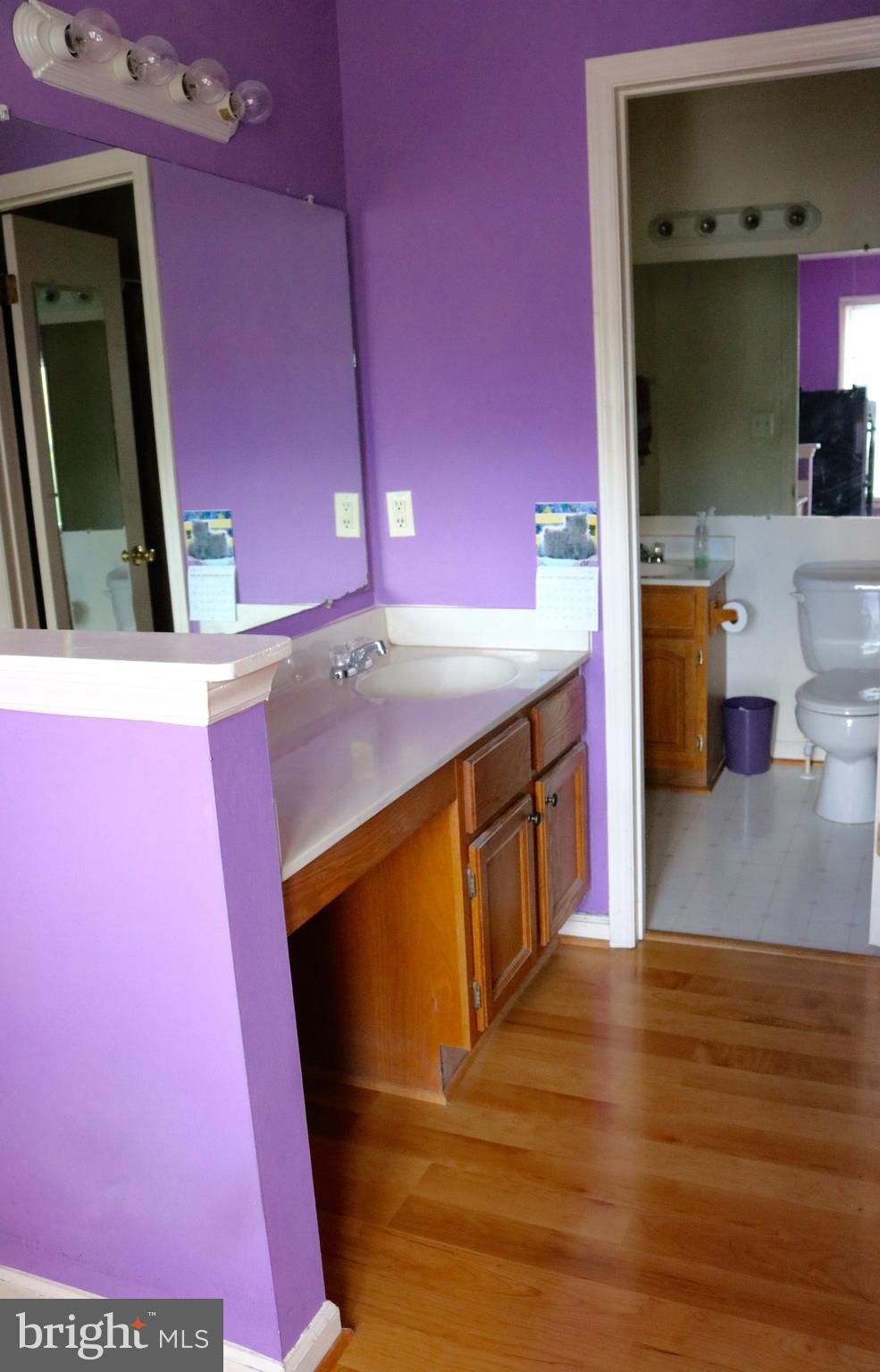6033 Sunset Ridge Court Centreville, VA 20121 - Photo 19 of 21 Bath (Master)