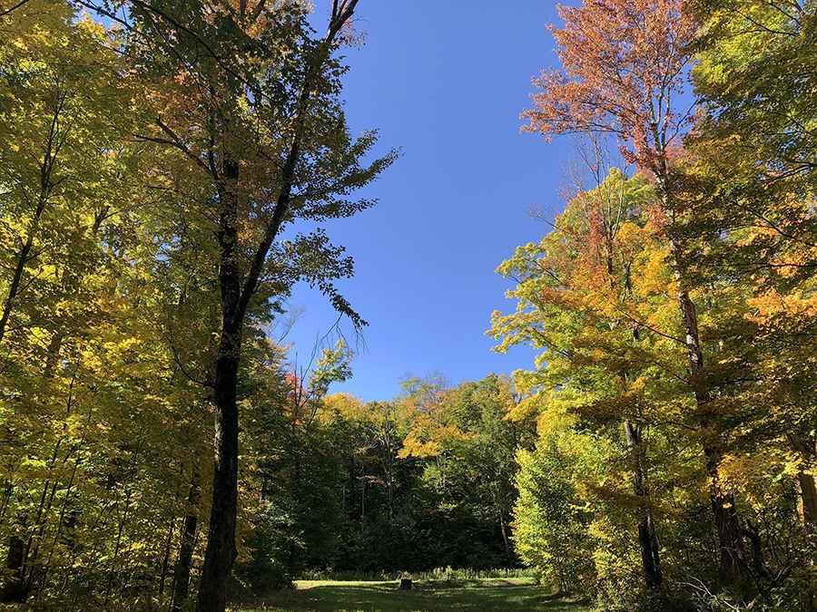 56 Colony Road, Unit 6 Warren, VT 05674 - Photo 1 of 4