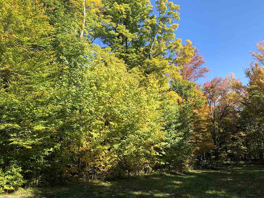 56 Colony Road, Unit 6 Warren, VT 05674 - Photo 3 of 4