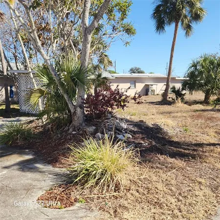 a view of a yard with a tree
