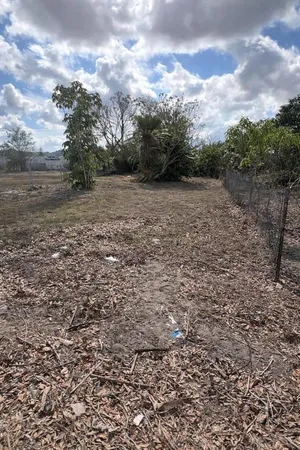a view of a field with trees in the background