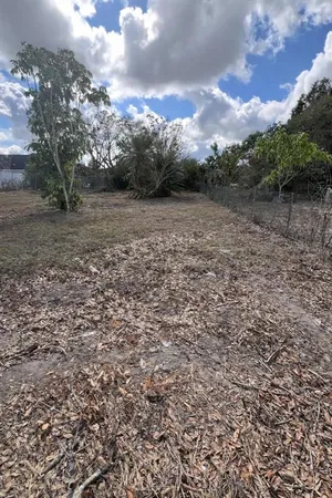 a view of a yard with a tree