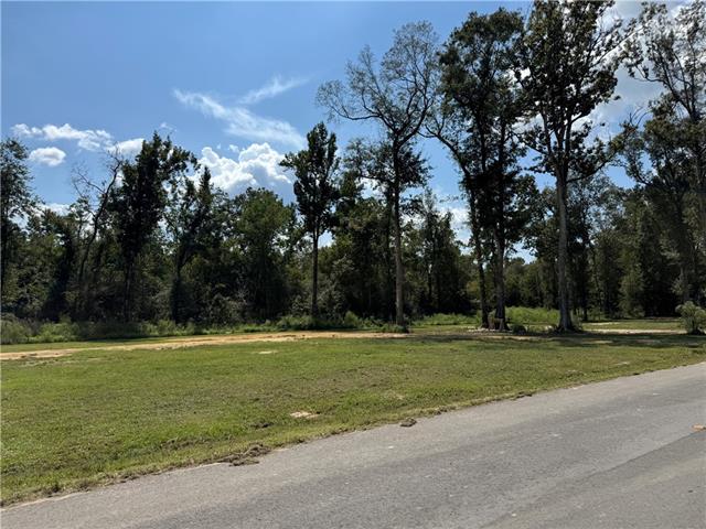 Lot B Linda's Haven Road Springfield, LA 70462 - Photo 2 of 6 Gallery Image 2