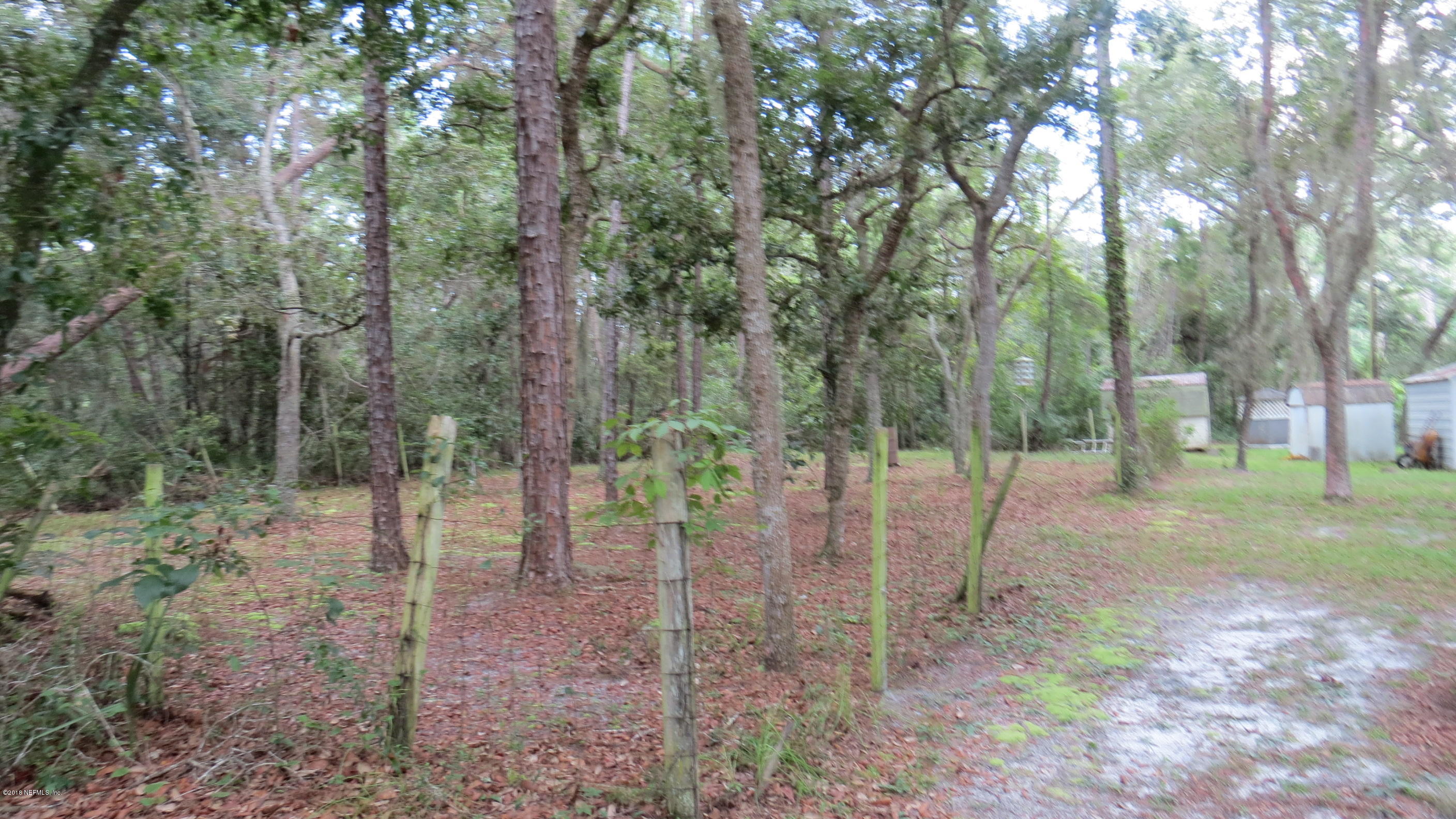 309 Whispering Pines Road Georgetown, FL 32139 - Photo 5 of 20 a view of a forest with trees