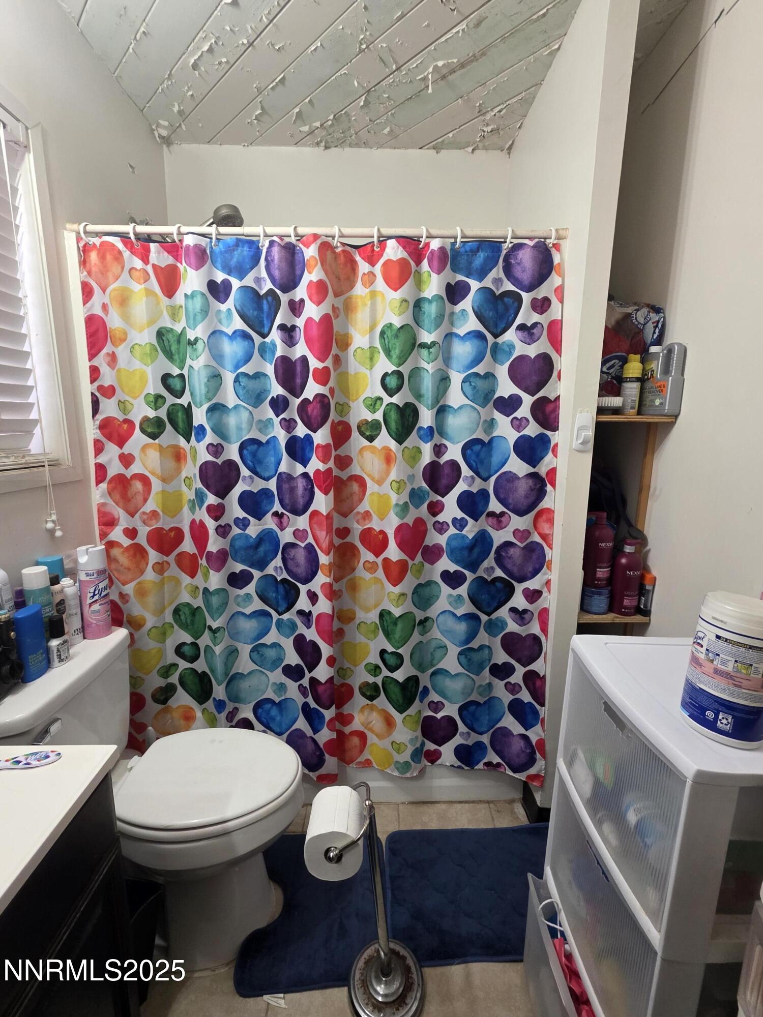 107 English Street Hawthorne, NV 89415 - Photo 13 of 21 a bathroom with a sink mirror and toilet