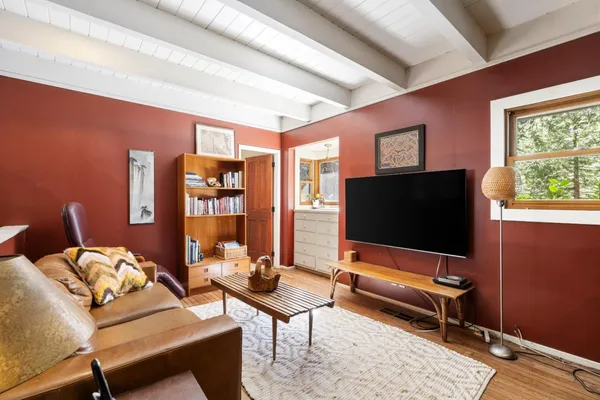 a view of a backyard with plants and large trees