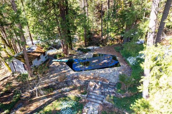 a view of swimming pool with a tree