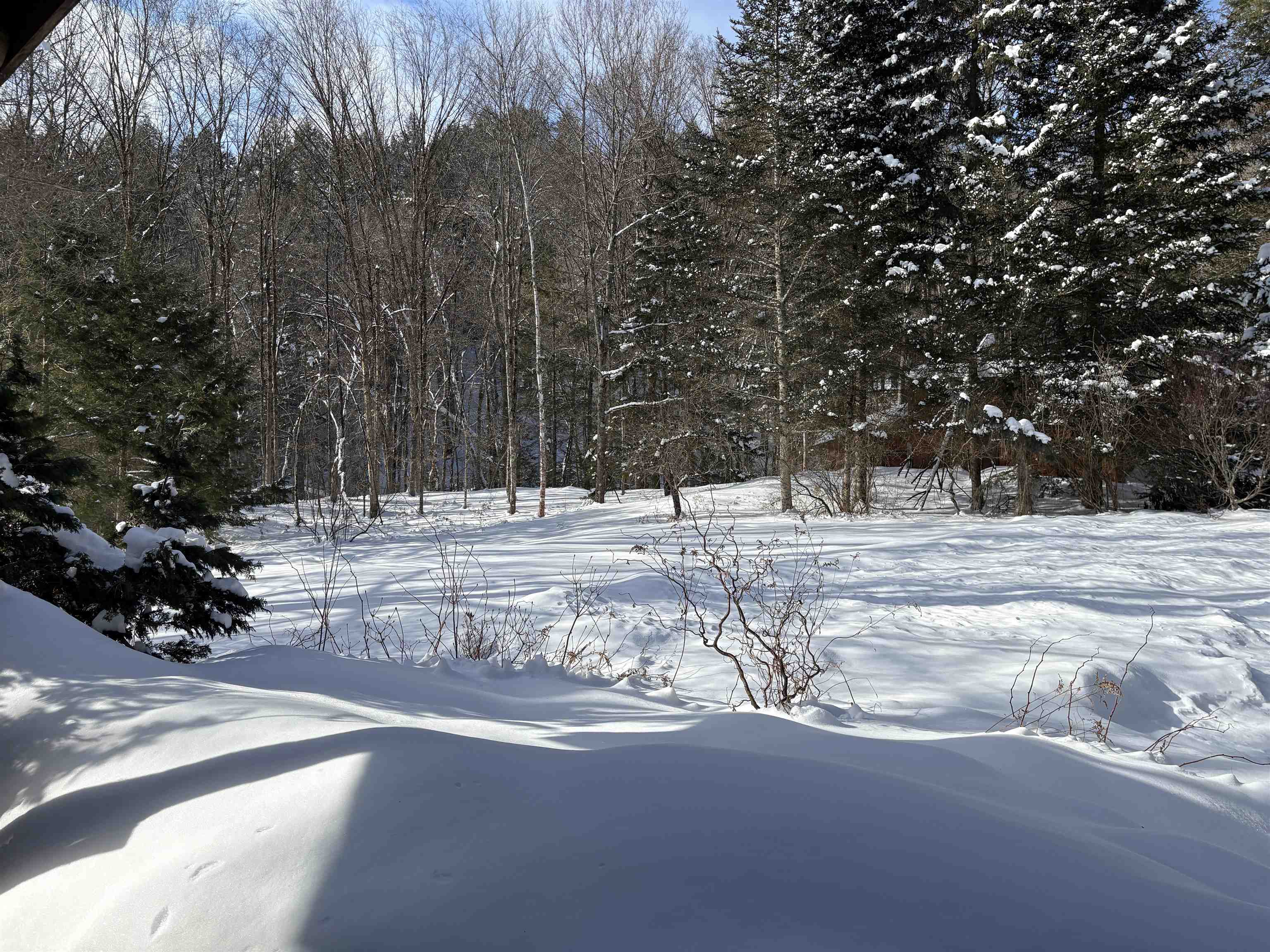 2451 Camp Brook Road Bethel, VT 05032 - Photo 60 of 60 Gallery Image 60