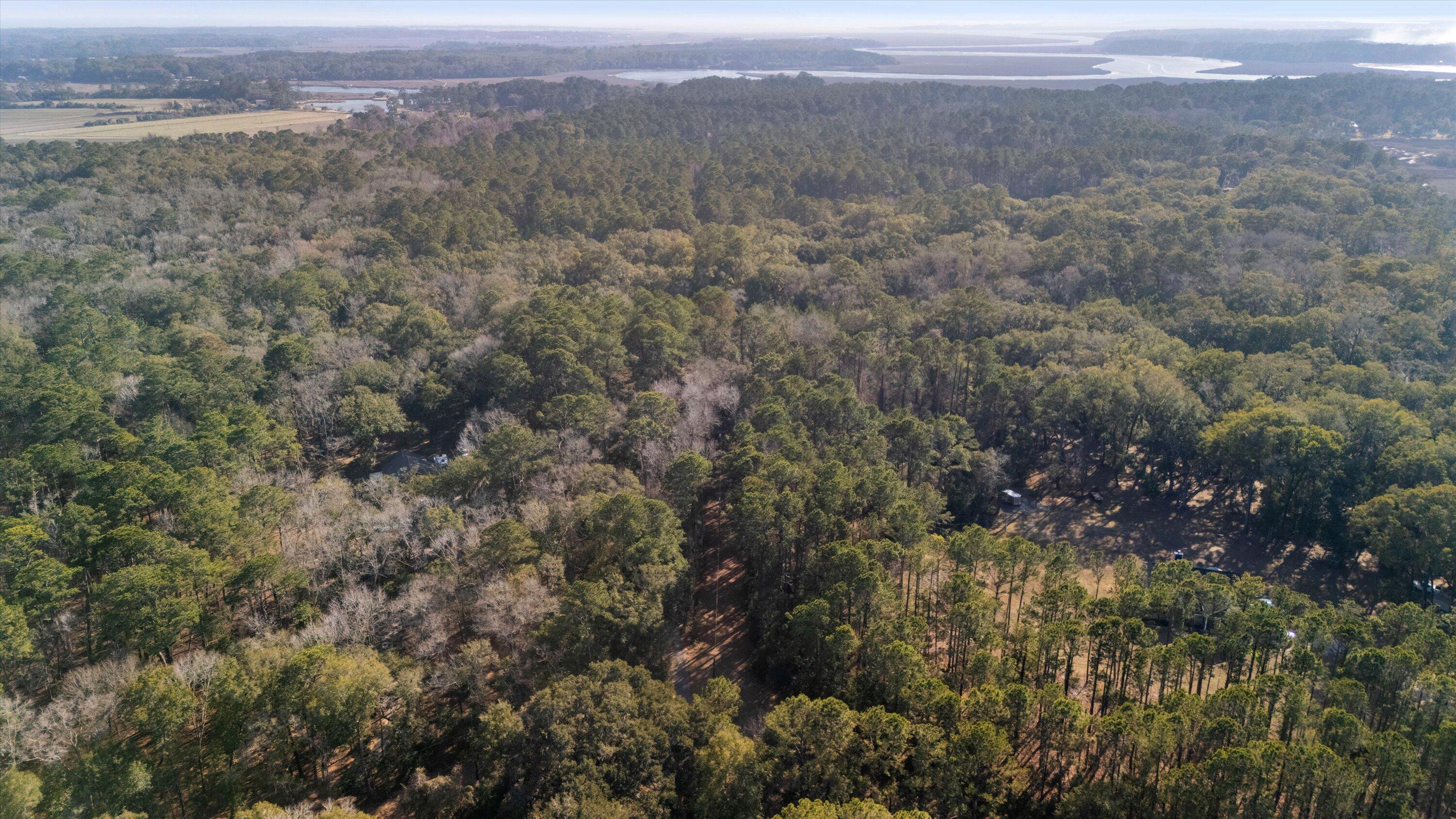 8255 Chisolm Plantation Road Edisto Island, SC 29438 - Photo 44 of 49 42-DJI_20250227154322_0006_D