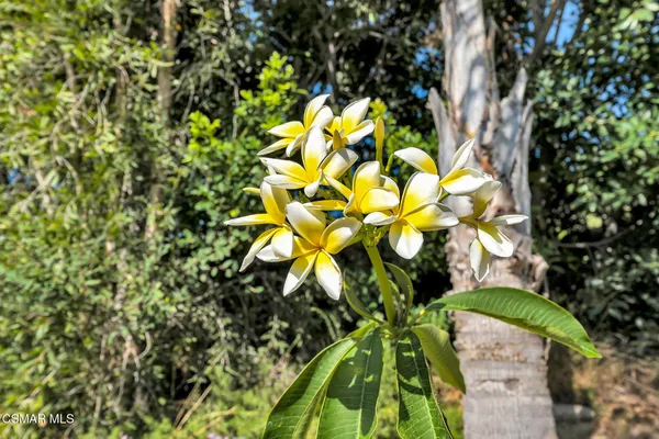 $1,485,000 | 3286 Indian Creek Place, Simi Valley, CA 93063