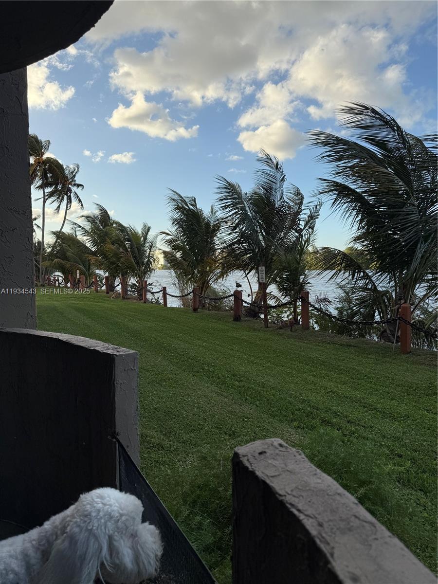 5199 Northwest 7th Street, Unit 115 Miami, FL 33126 - Photo 3 of 15 a view of a backyard