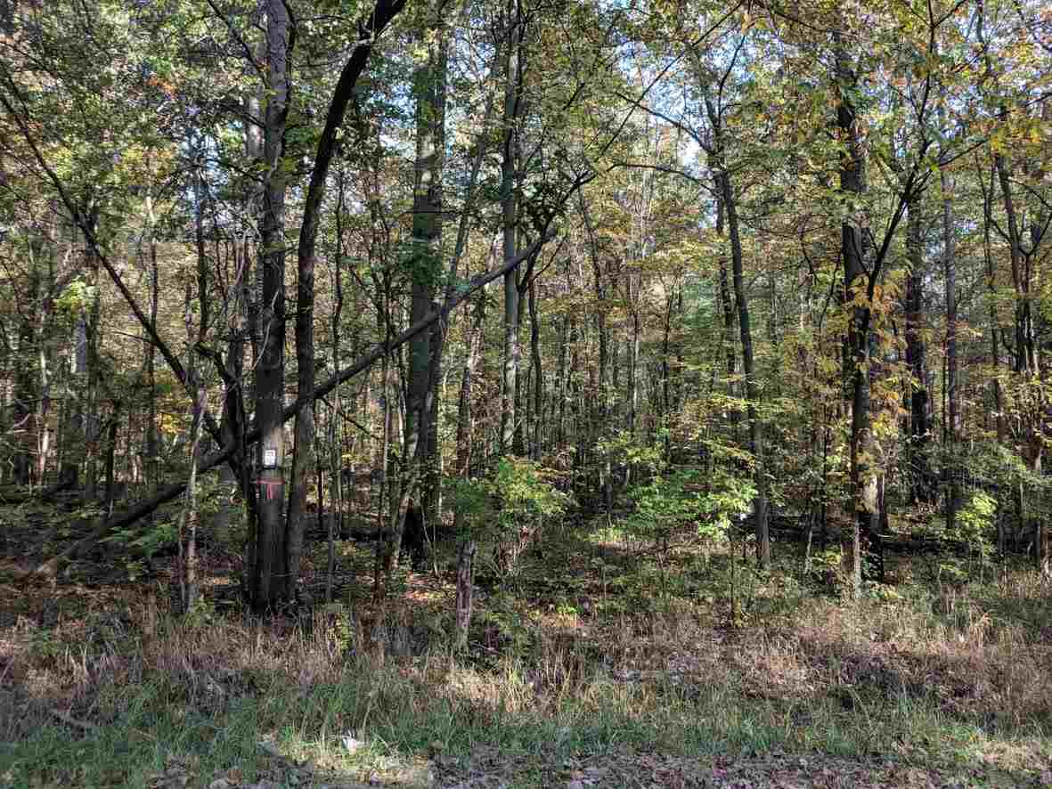 18945 Ithaca Road Brant, MI 48614 - Photo 1 of 5