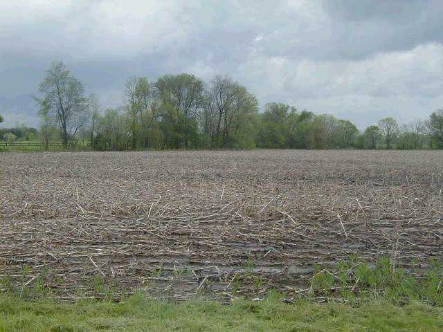 850 Amity Road Galloway, OH 43119 - Photo 1 of 1 Gallery Image 1
