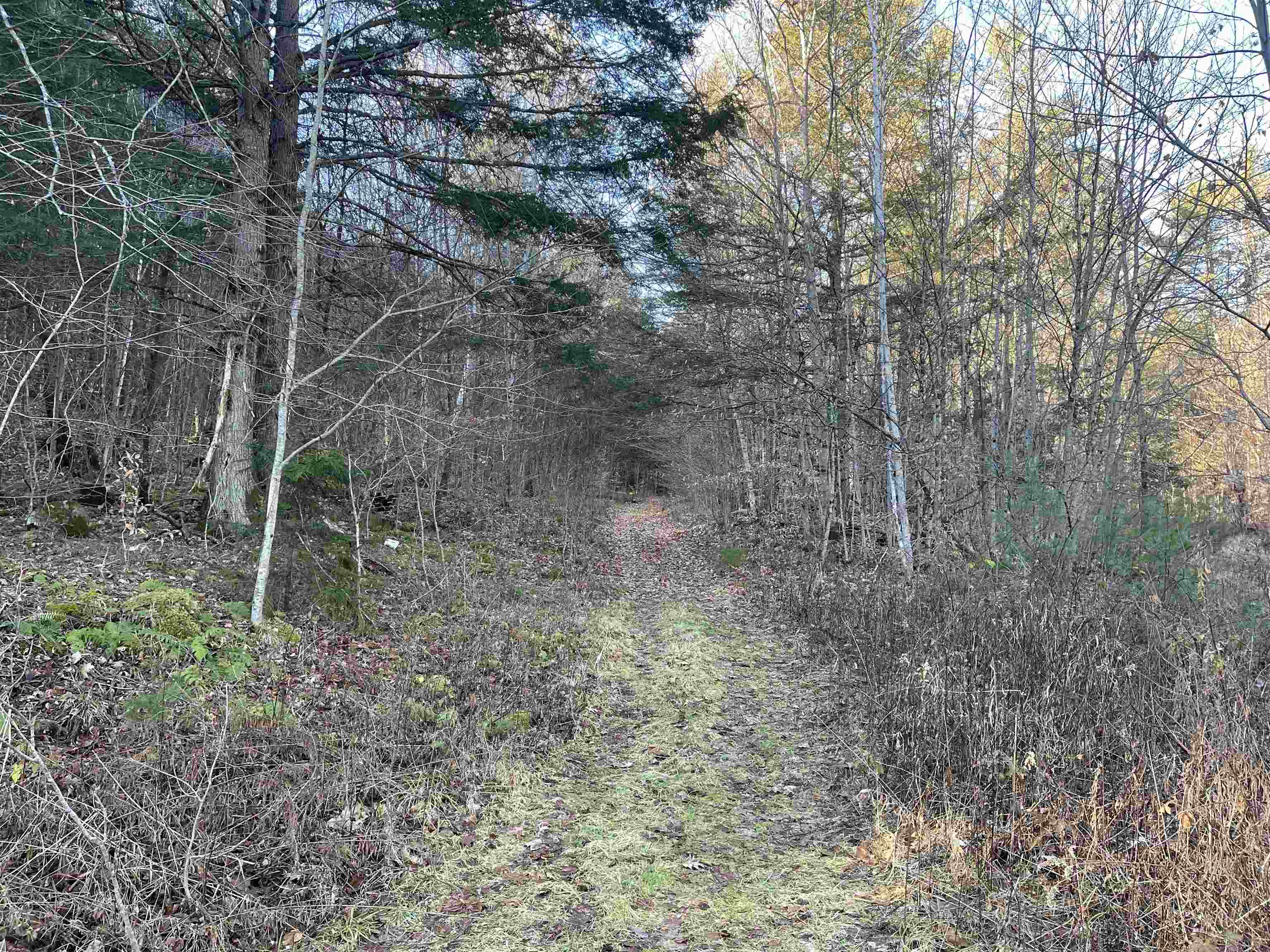Gallery Image 6