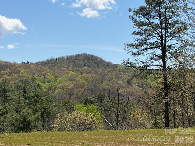 181 Pathkiller Road Lake Toxaway, NC 28747 - Photo 1 of 29 Gallery Image 1