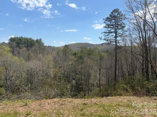 181 Pathkiller Road Lake Toxaway, NC 28747 - Photo 13 of 29 Gallery Image 13