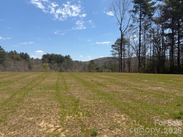 181 Pathkiller Road Lake Toxaway, NC 28747 - Photo 14 of 29 Gallery Image 14