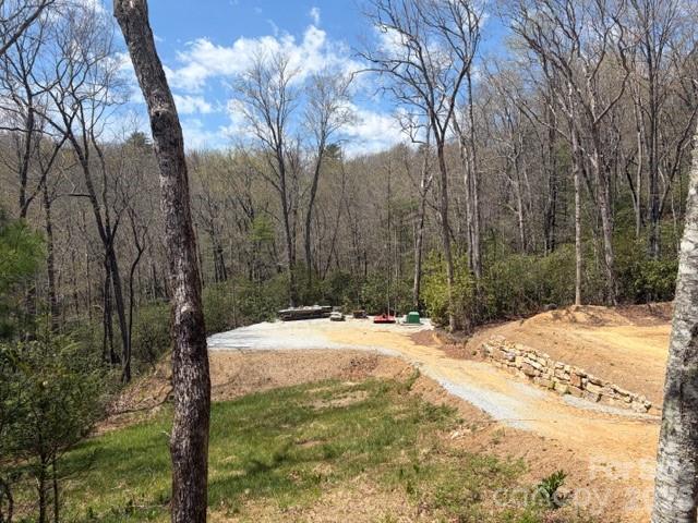 181 Pathkiller Road Lake Toxaway, NC 28747 - Photo 16 of 29 Gallery Image 16