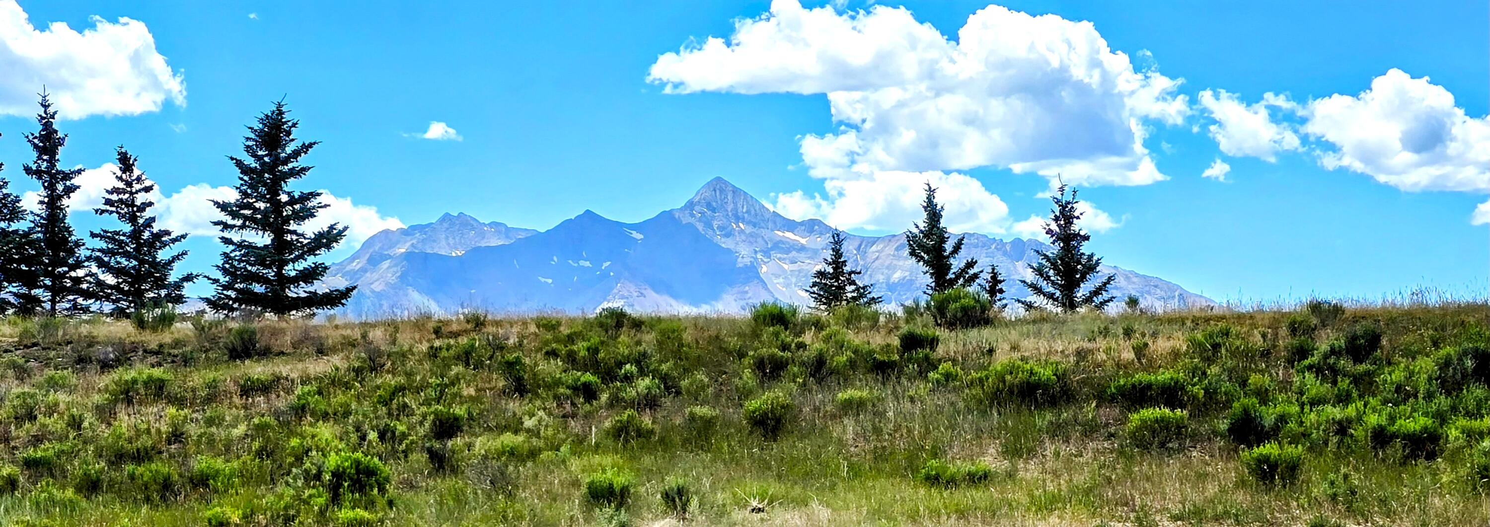 975 B Wagner Way Telluride, CO 81435 - Photo 15 of 20 a view of a building in the background with double sitting space