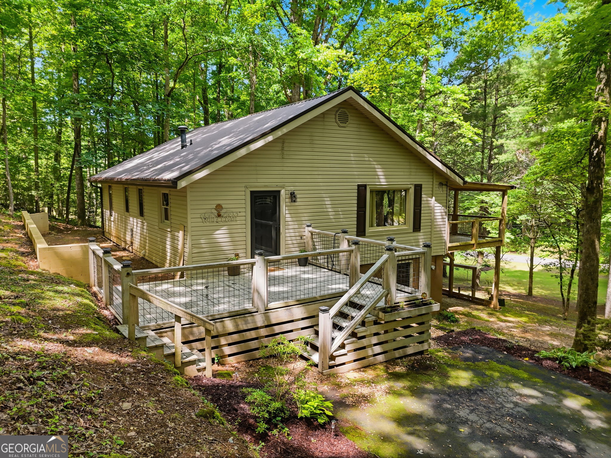 629 Goose Island Road Cherry Log, GA 30522 - Photo 50 of 52 a view of a house with backyard