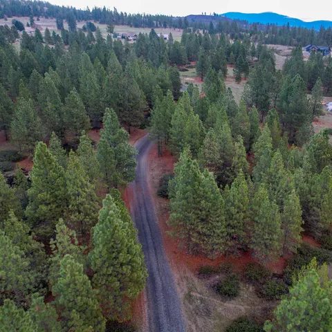 $1,200,000 | 29020 North Hardesty Road, Chattaroy, WA 99003