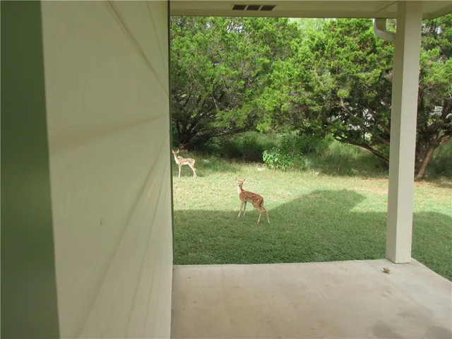 a backyard of a house with a garden and plants