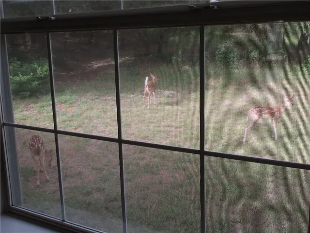 $2,300 | 2405 Farragret Cove, Lago Vista, TX 78645