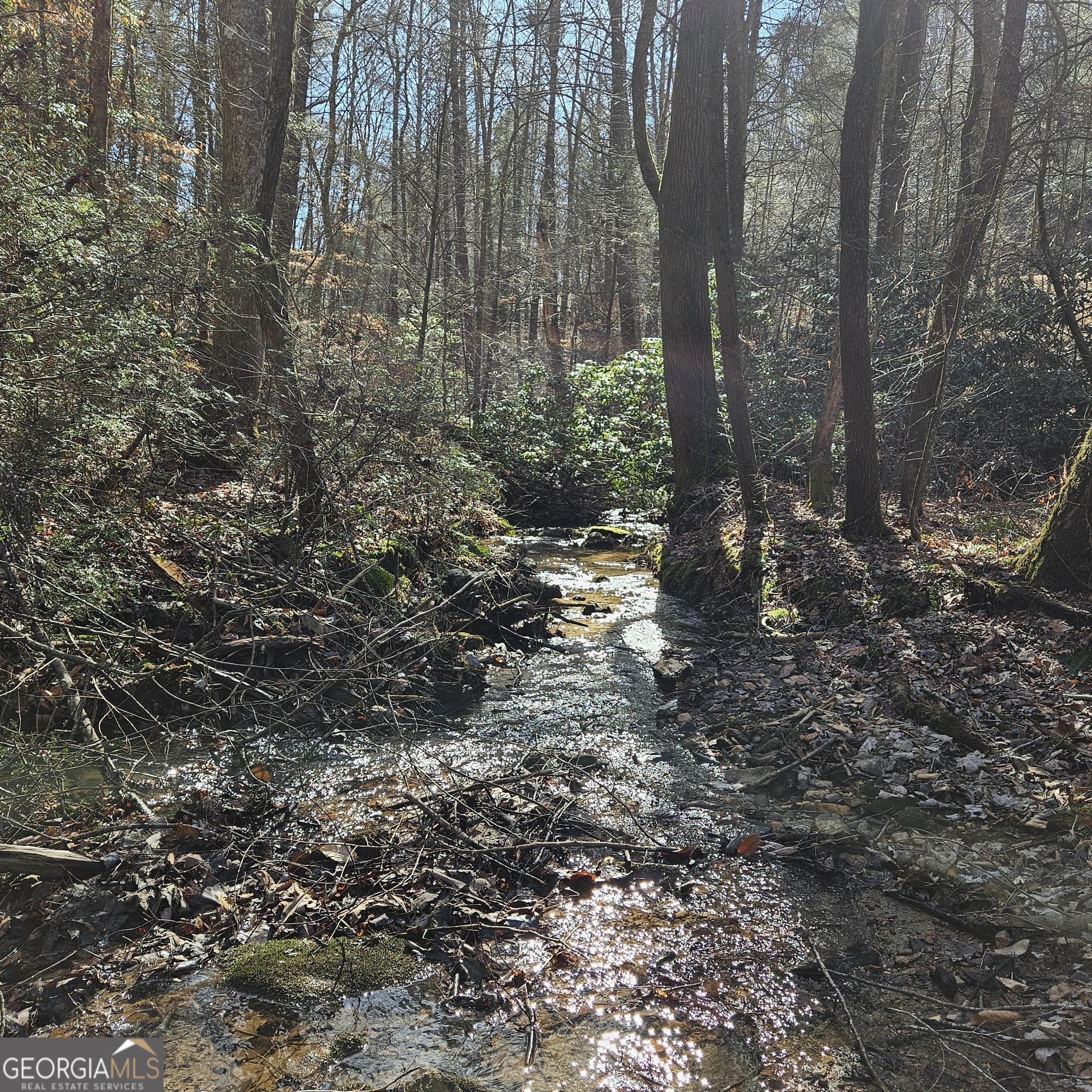 3409 Flagpole Road Ellijay, GA 30540 - Photo 1 of 1 Ross Creek