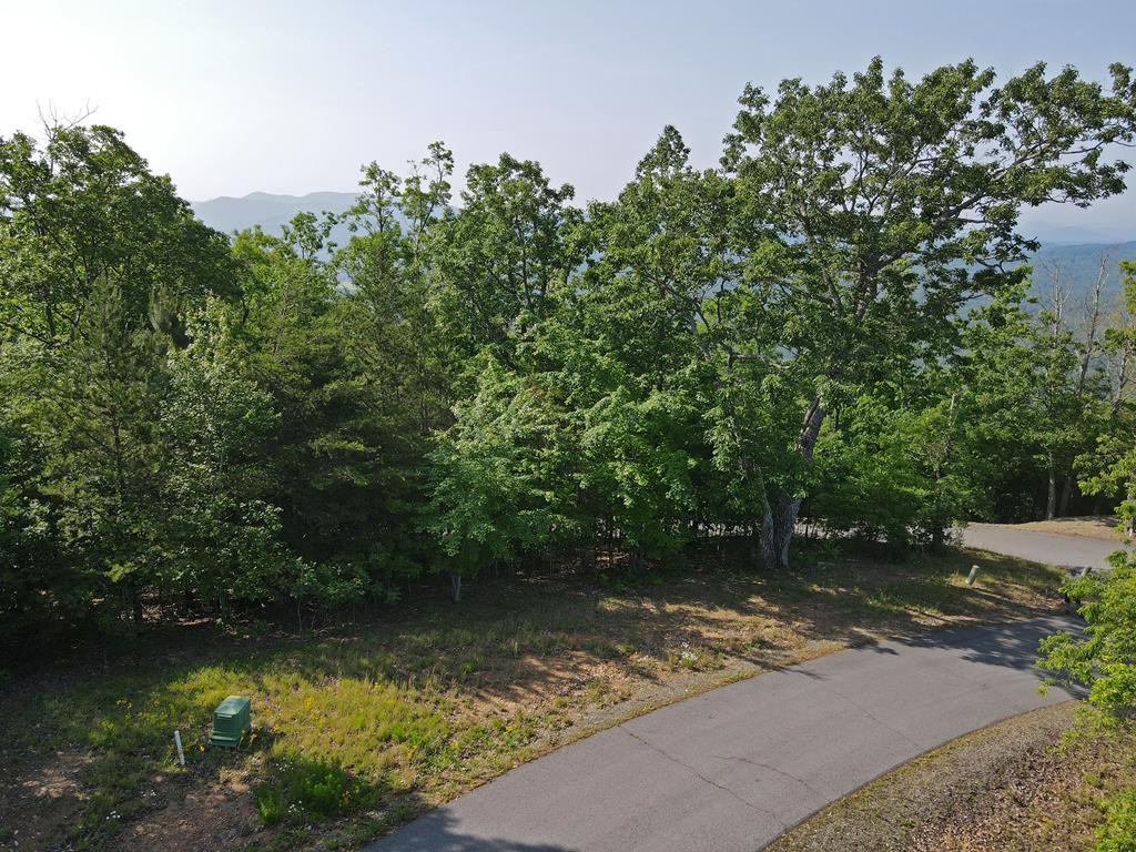 Lot 20 Patriot Ridge Murphy, NC 28906 - Photo 14 of 36 Gallery Image 14
