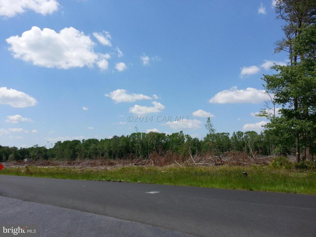 Dagsboro Road Parsonsburg, MD 21849 - Photo 1 of 2 Gallery Image 1