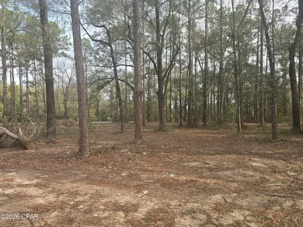 $229,000 | 445 Cat Island Road, DeFuniak Springs, FL 32433